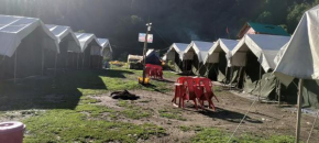 Shiva Shanti Camp